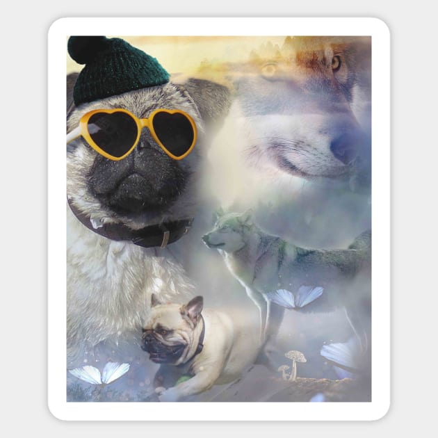 Wolf and best sale pug